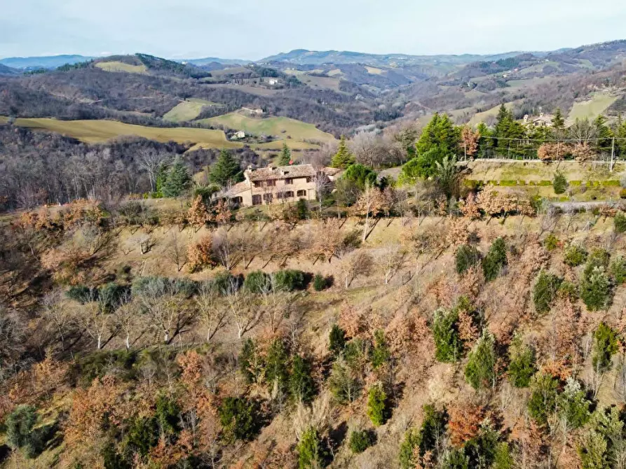 Immagine 51 di Rustico / casale in vendita  in Maciolla a Urbino