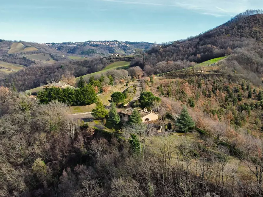 Immagine 52 di Rustico / casale in vendita  in Maciolla a Urbino