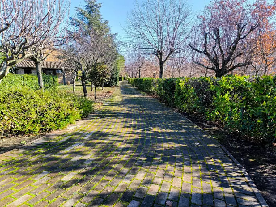 Immagine 54 di Rustico / casale in vendita  in Maciolla a Urbino