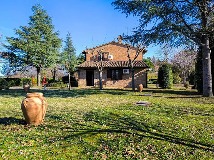 Immagine 56 di Rustico / casale in vendita  in Maciolla a Urbino