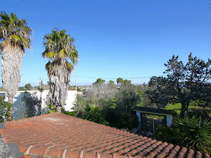 Immagine 7 di Villa in vendita  in SP 223 a Gallipoli