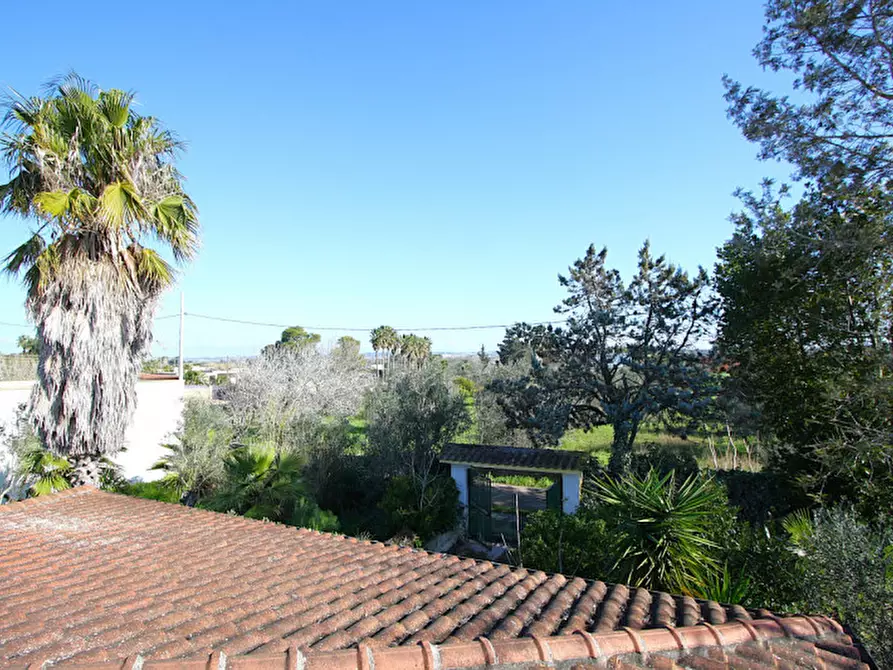 Immagine 9 di Villa in vendita  in SP 223 a Gallipoli