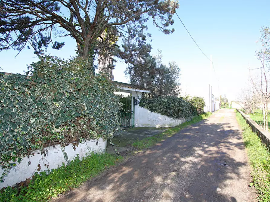 Immagine 20 di Villa in vendita  in SP 223 a Gallipoli