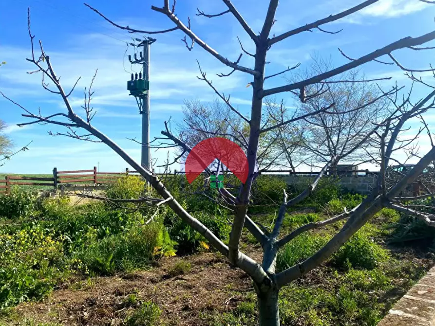 Immagine 11 di Villa in vendita  in BORGO VENUSIO a Matera