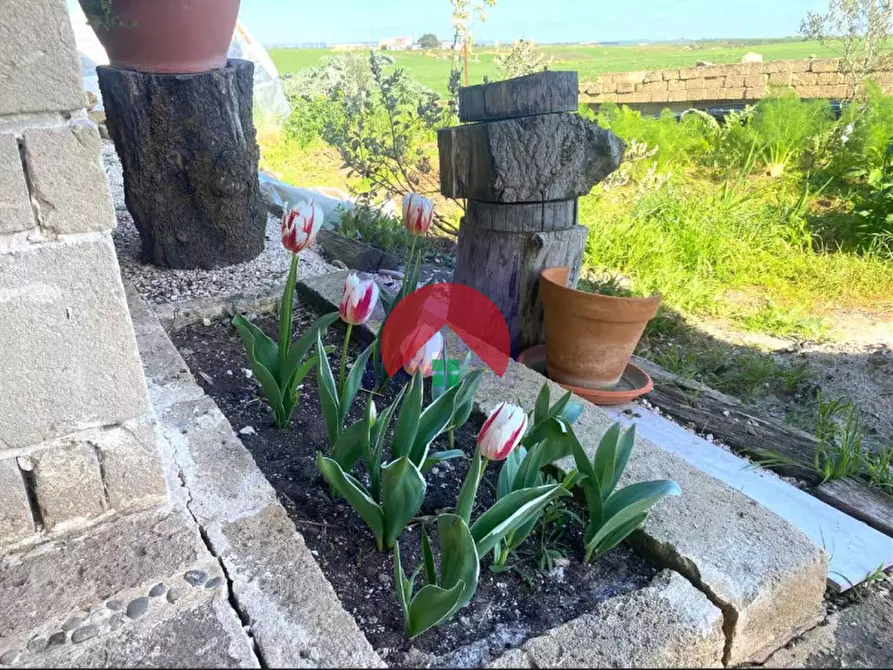 Immagine 13 di Villa in vendita  in BORGO VENUSIO a Matera