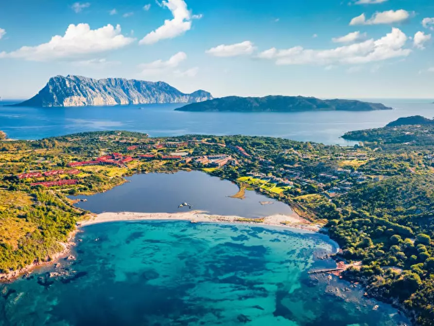 Immagine 19 di Appartamento in vendita  in Via Bulgaria a Olbia