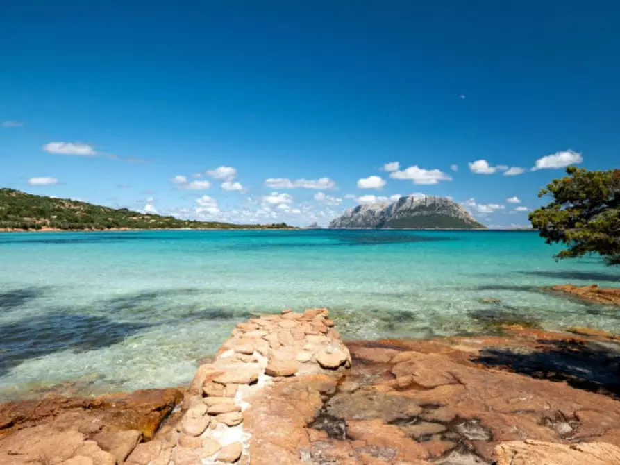 Immagine 20 di Appartamento in vendita  in Via Bulgaria a Olbia