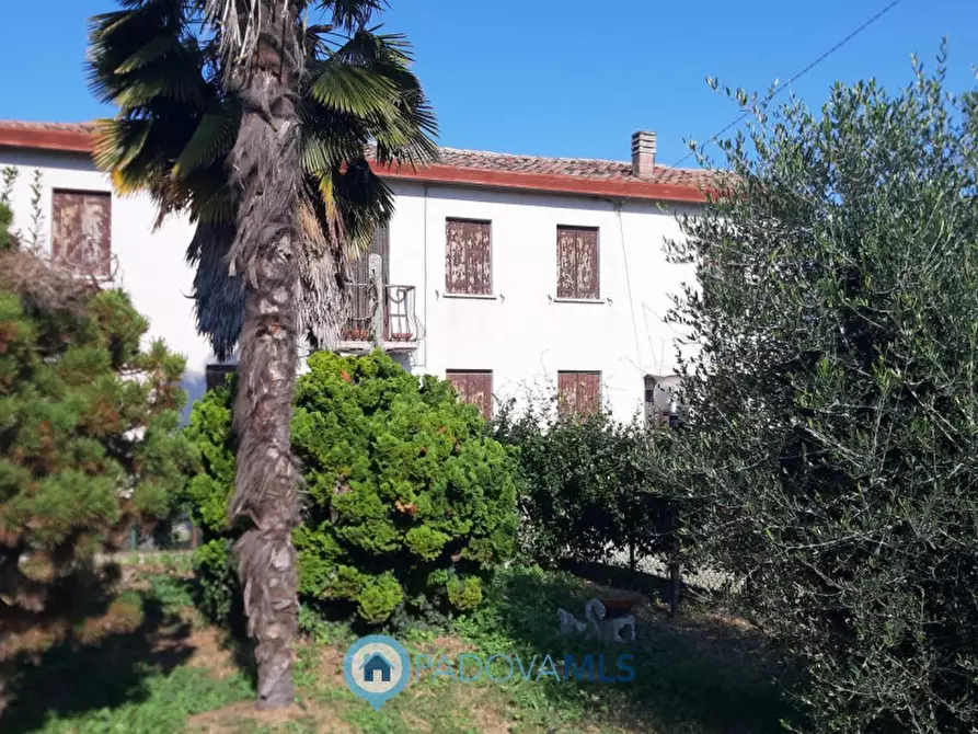 Immagine 11 di Casa indipendente in vendita  in Via Pozzonovo, 1 a Monselice