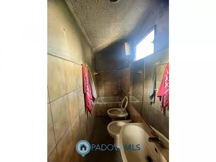 Immagine 4 di Rustico / casale in vendita  in Viale Spagna a Tribano