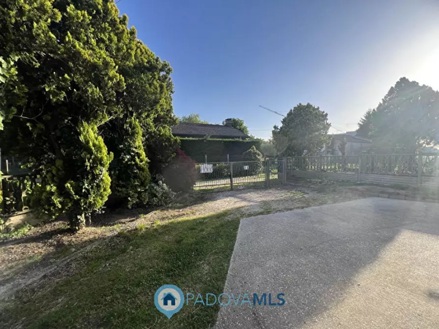 Immagine 8 di Rustico / casale in vendita  in Viale Spagna a Tribano