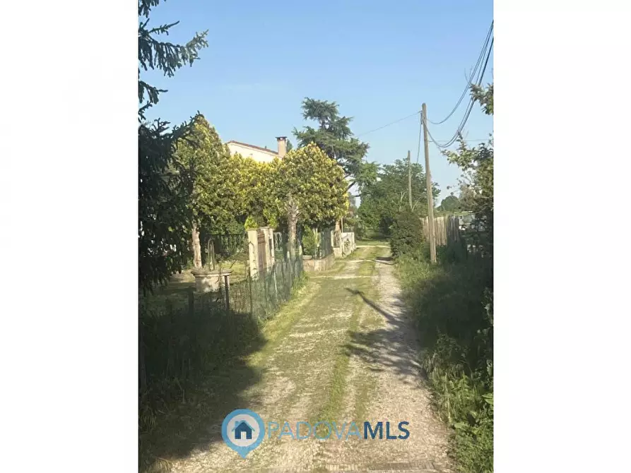 Immagine 9 di Rustico / casale in vendita  in Viale Spagna a Tribano