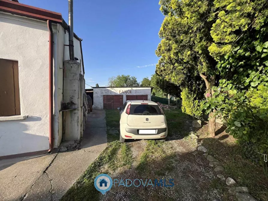 Immagine 11 di Rustico / casale in vendita  in Viale Spagna a Tribano