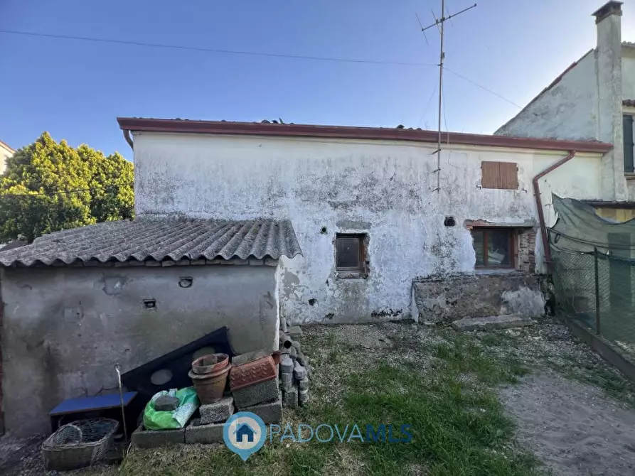 Immagine 14 di Rustico / casale in vendita  in Viale Spagna a Tribano