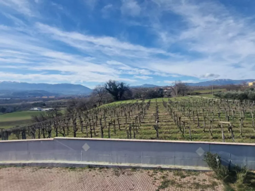 Immagine 23 di Rustico / casale in vendita  in centro a Rosciano