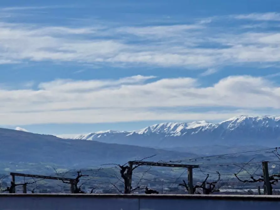 Immagine 32 di Rustico / casale in vendita  in centro a Rosciano