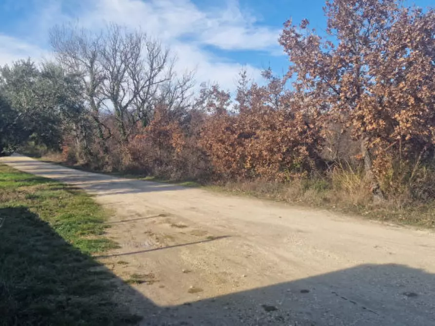 Immagine 36 di Rustico / casale in vendita  in centro a Rosciano