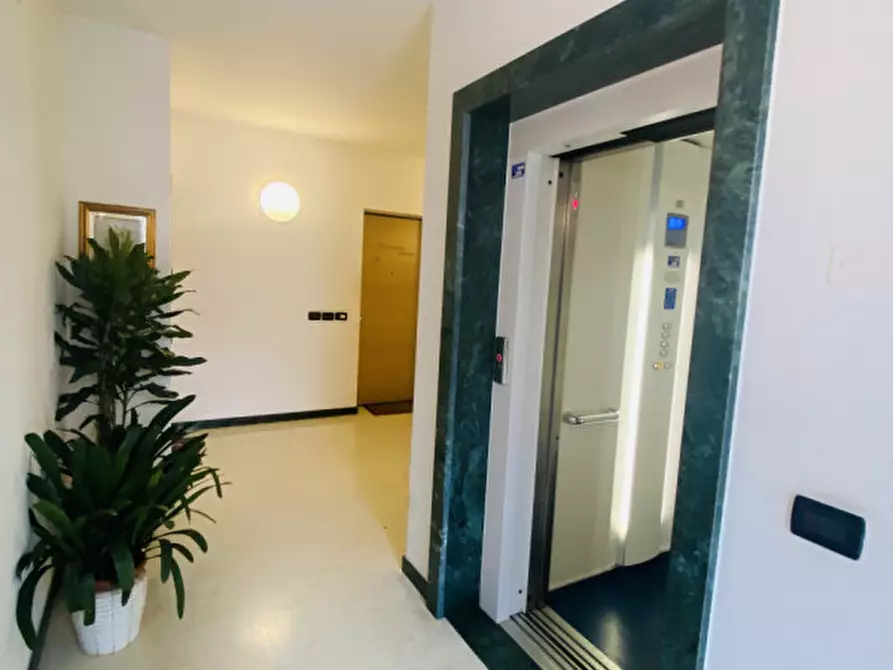 Immagine 3 di Appartamento in vendita  in via damini 3 a Piombino Dese