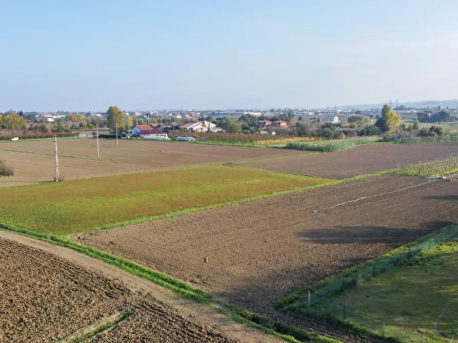 Immagine 3 di Terreno in vendita  a Cesena