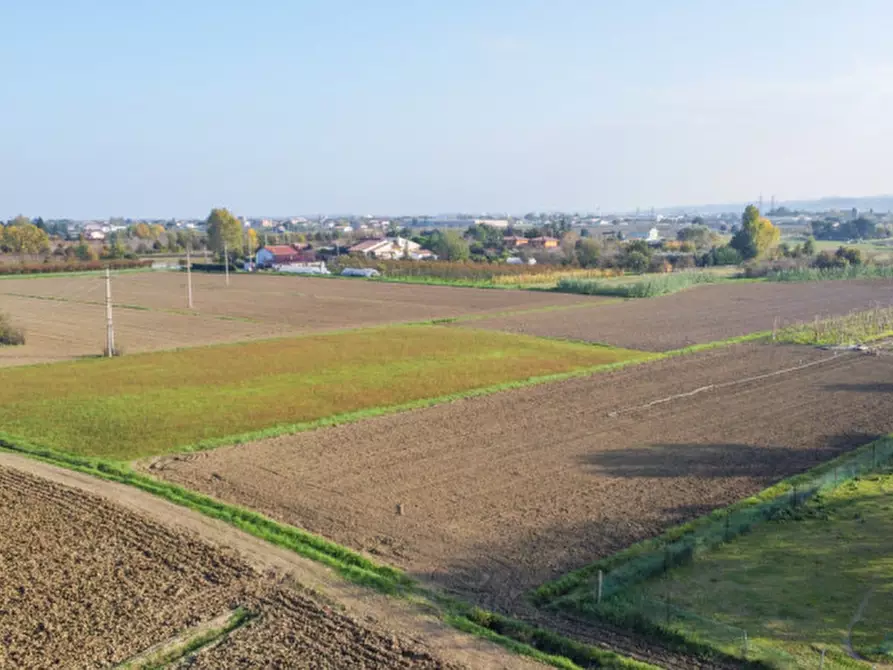 Immagine 4 di Terreno in vendita  a Cesena