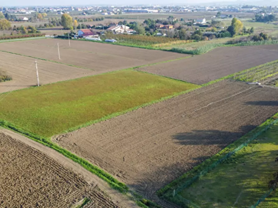 Immagine 5 di Terreno in vendita  a Cesena