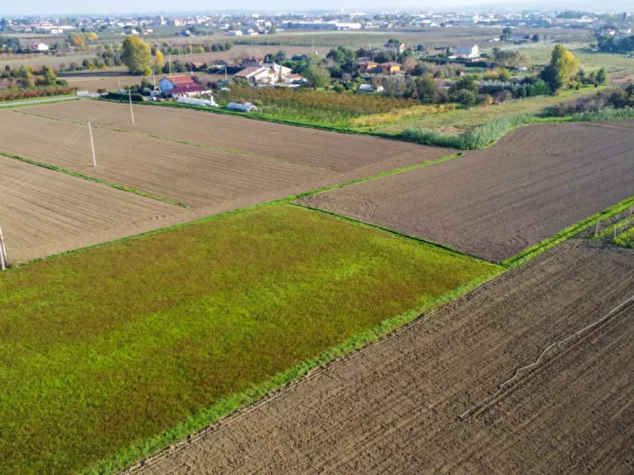 Immagine 6 di Terreno in vendita  a Cesena