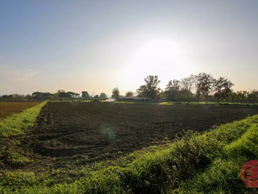 Immagine 18 di Terreno in vendita  a Cesena