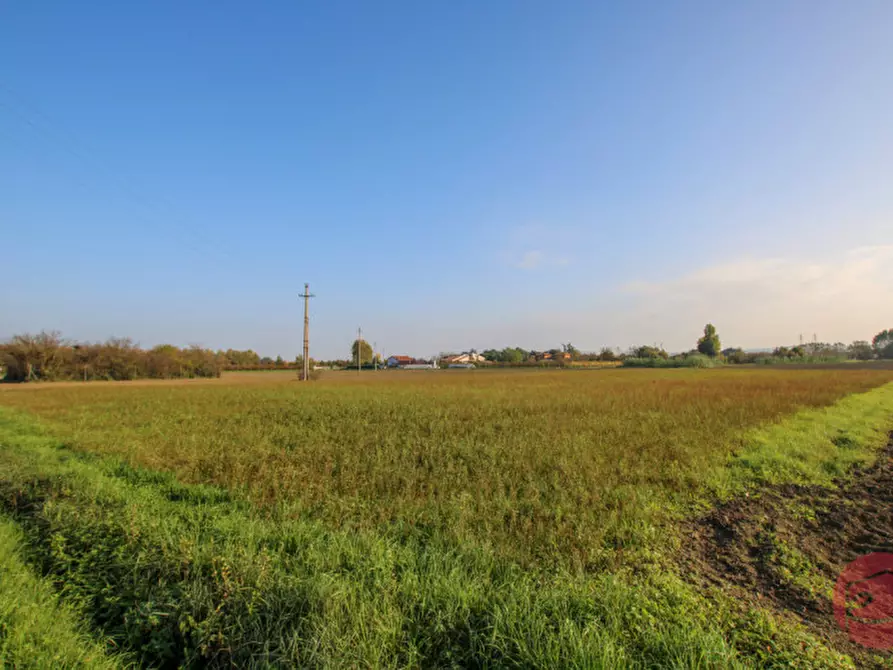 Immagine 19 di Terreno in vendita  a Cesena
