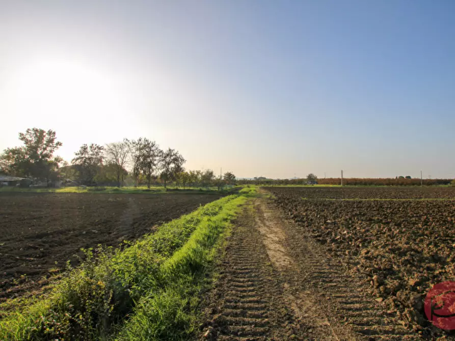 Immagine 20 di Terreno in vendita  a Cesena