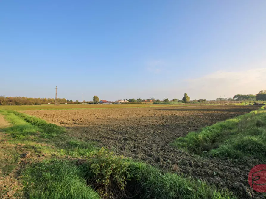 Immagine 27 di Terreno in vendita  a Cesena