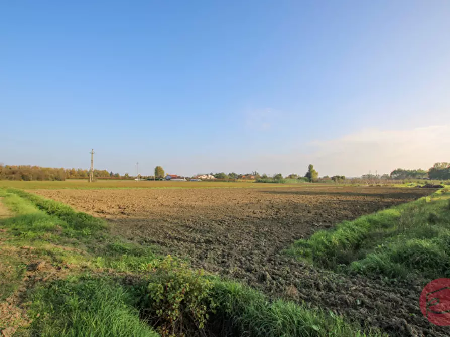 Immagine 28 di Terreno in vendita  a Cesena