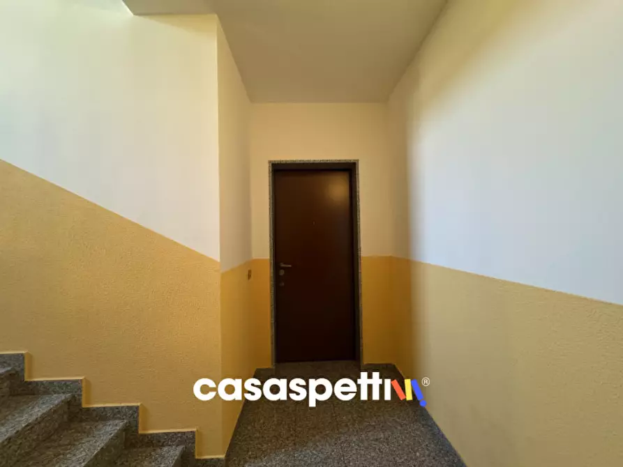 Immagine 49 di Appartamento in vendita  in Via Olimpya, 42 a Torrevecchia Pia