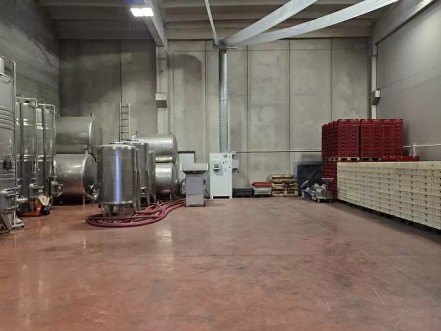 Immagine 1 di Capannone industriale in affitto  in Via dell'Industria a Sant'ambrogio Di Valpolicella