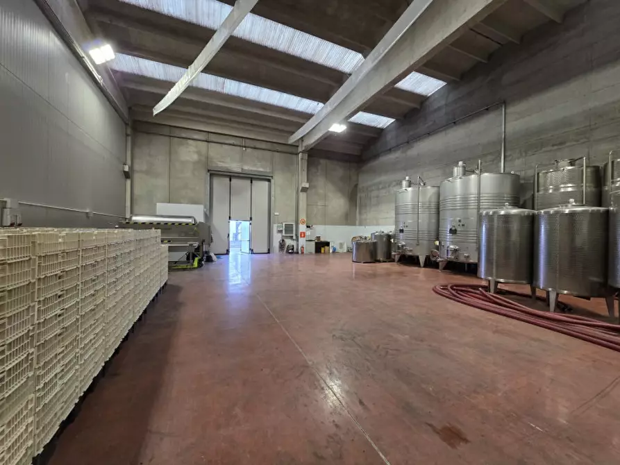 Immagine 1 di Capannone industriale in affitto  in Via dell'Industria a Sant'ambrogio Di Valpolicella