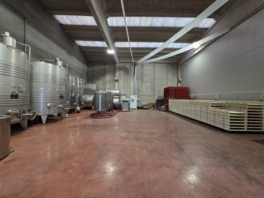 Immagine 3 di Capannone industriale in affitto  in Via dell'Industria a Sant'ambrogio Di Valpolicella