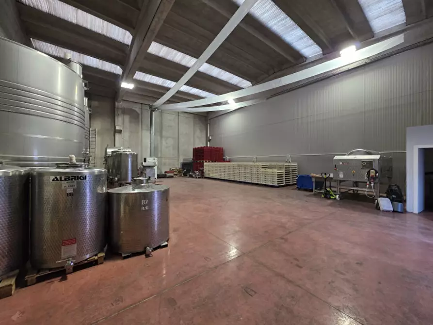 Immagine 3 di Capannone industriale in affitto  in Via dell'Industria a Sant'ambrogio Di Valpolicella