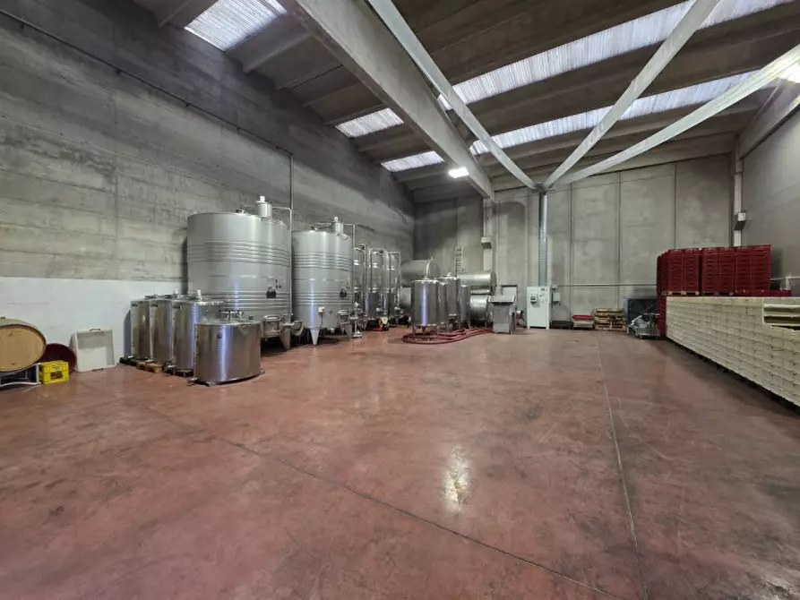 Immagine 4 di Capannone industriale in affitto  in Via dell'Industria a Sant'ambrogio Di Valpolicella