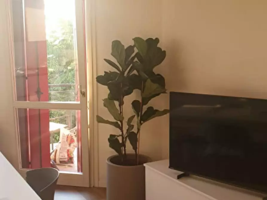 Immagine 3 di Appartamento in affitto  a Lonigo