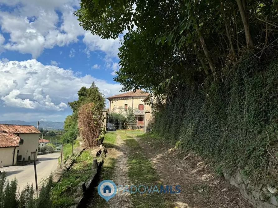 Immagine 5 di Rustico / casale in vendita  in Via Mariani a Vo