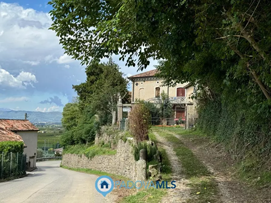 Immagine 7 di Rustico / casale in vendita  in Via Mariani a Vo