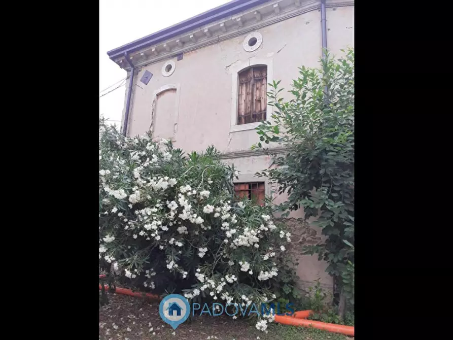 Immagine 16 di Rustico / casale in vendita  in Via Mariani a Vo