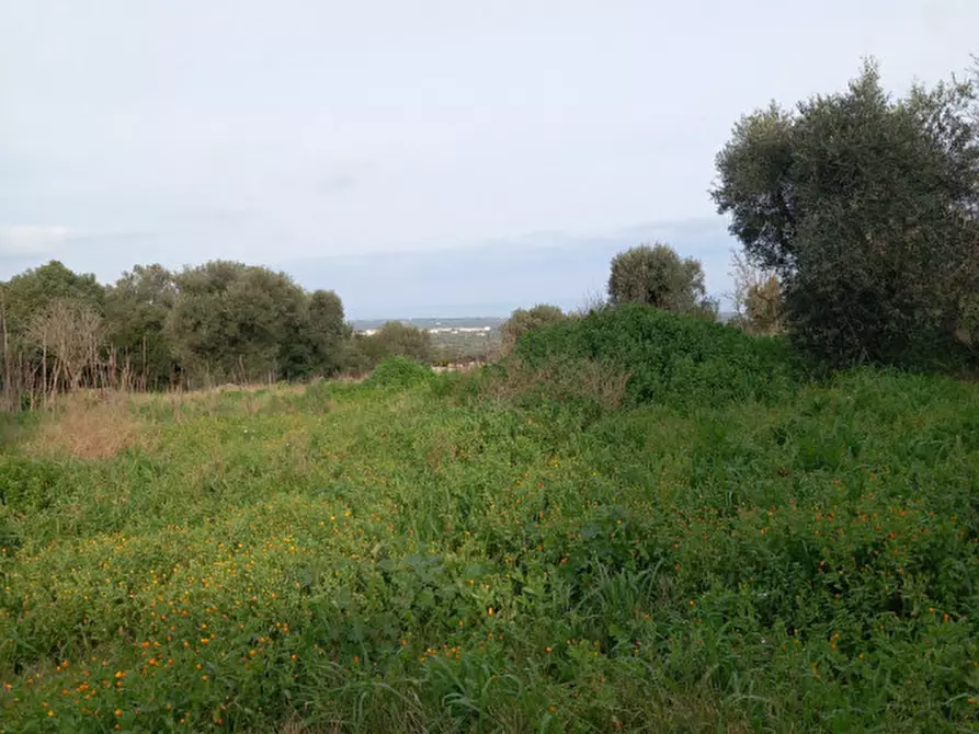 Immagine 24 di Rustico / casale in vendita  a Ostuni