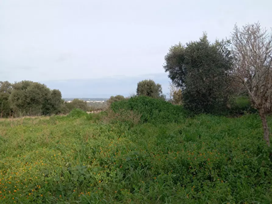 Immagine 25 di Rustico / casale in vendita  a Ostuni