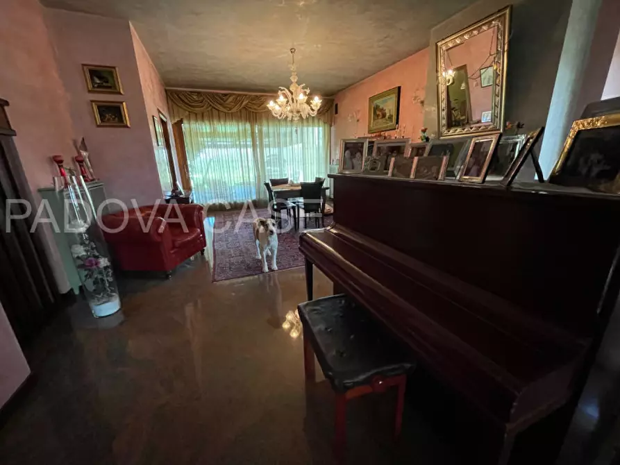 Immagine 6 di Villa in vendita  in via Monte Cengio a Vigonza