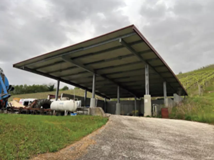 Immagine 2 di Terreno in vendita  in Via Rive Zacchi a Cappella Maggiore