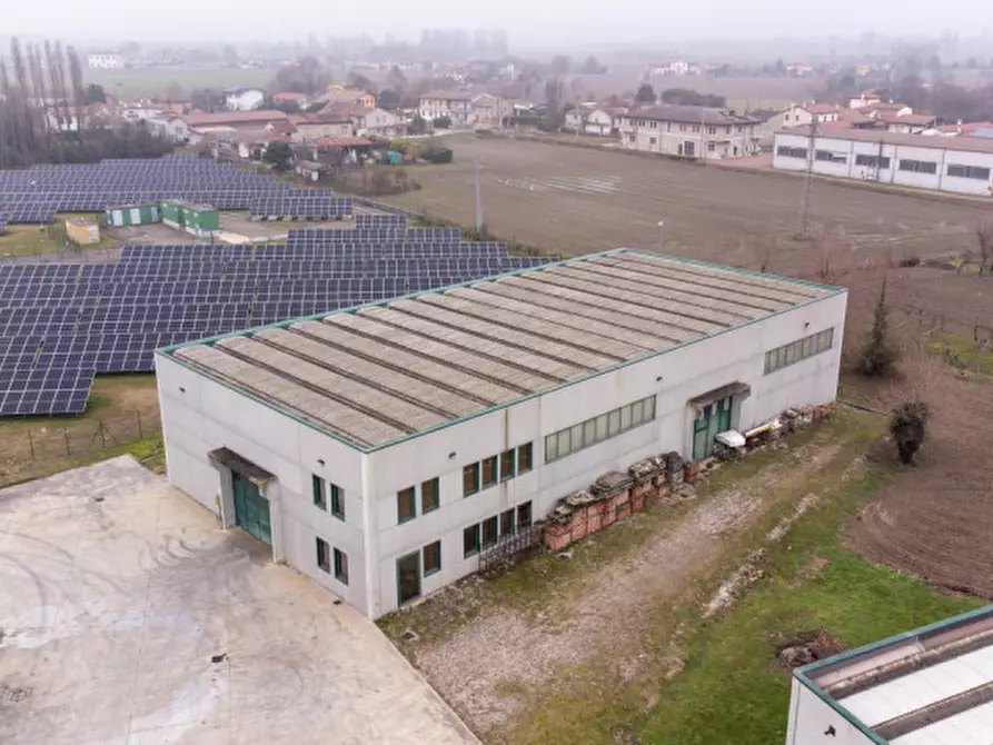 Immagine 5 di Capannone industriale in vendita  in via nuova a Casale Di Scodosia