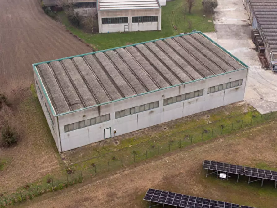 Immagine 6 di Capannone industriale in vendita  in via nuova a Casale Di Scodosia