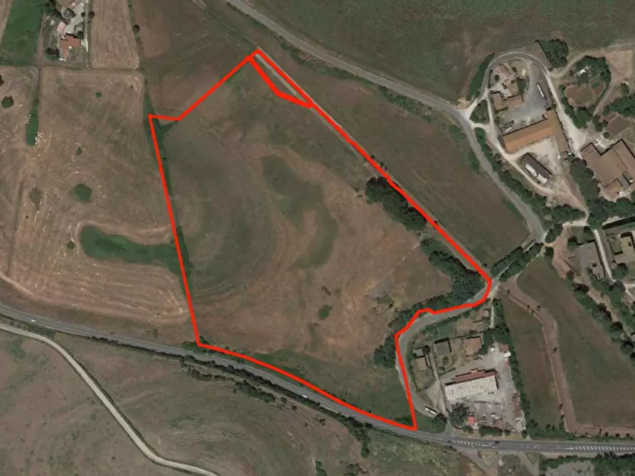 Immagine 1 di Terreno in vendita  in Loc. Castellaccio, Via San Procolo (S.P. 163), N. snc a Paliano