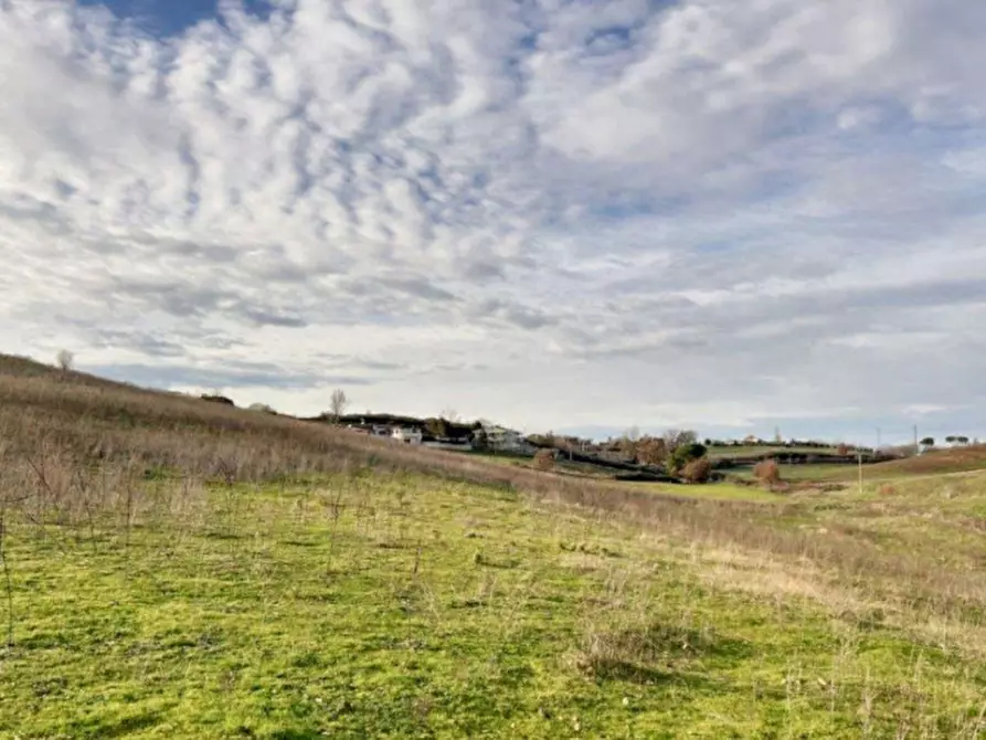 Immagine 4 di Terreno in vendita  in Loc. Castellaccio, Via San Procolo (S.P. 163), N. snc a Paliano