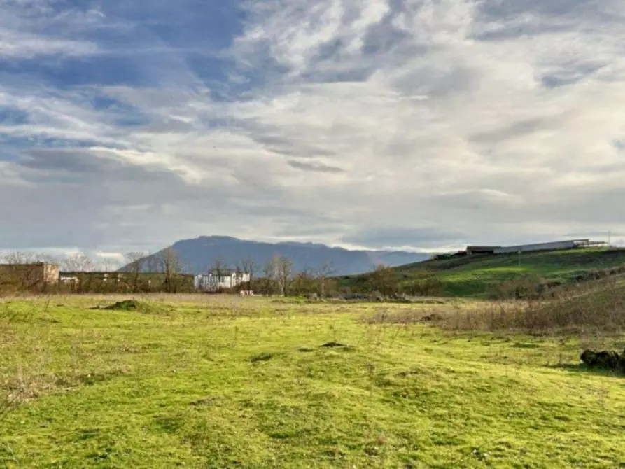 Immagine 6 di Terreno in vendita  in Loc. Castellaccio, Via San Procolo (S.P. 163), N. snc a Paliano