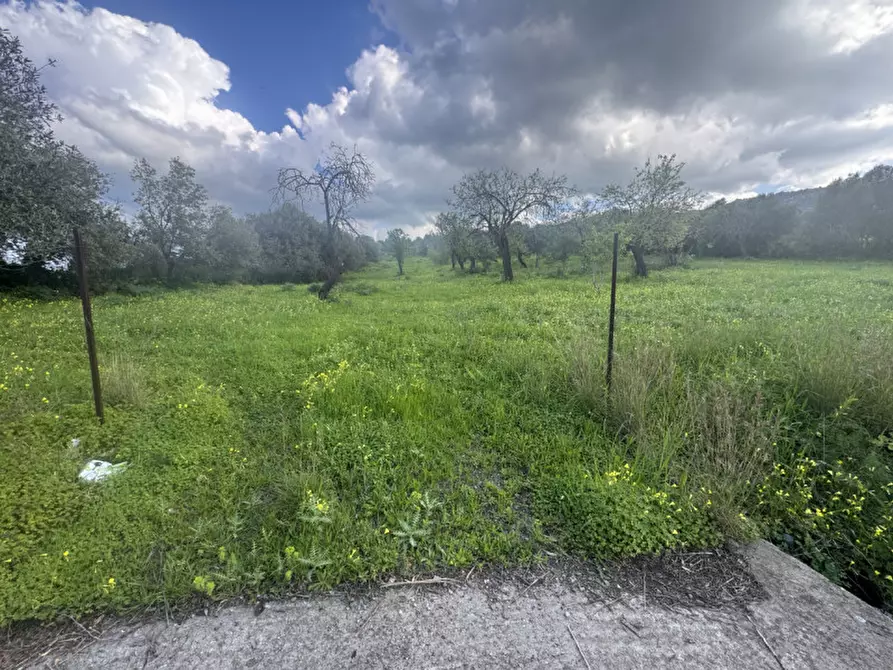 Immagine 1 di Terreno in vendita  in Via Sant'Anna, snc a Sarroch